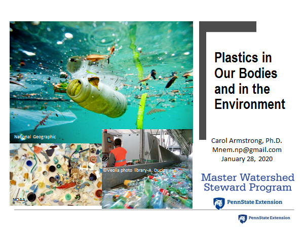PDF of slides from Plastics in Our Bodies and in the Environment Power Point presentation