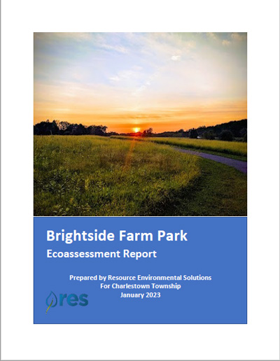 RES Brightside Restoration Assessment Report