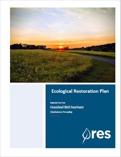 RES Brightside Restoration Plan
