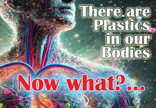 March 13: There are Plastics in out Bodies – Now What?